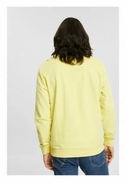 Edc By Esprit TROYER AUS BAUMWOLL - Sweatshirt - Yellow -edc by Esprit Shop 75951c18c9f14e0a8d85e1f5a81410dd